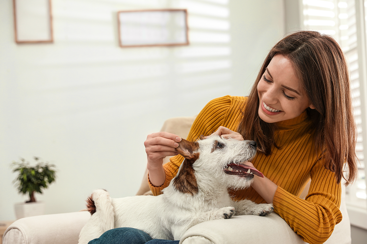 Vivir con tu mascota: beneficios de las zonas comunes pet friendly